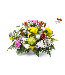 Centro Lilium, Clavel y Margarita