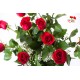 12 Rosas Rojas Tallo Corto